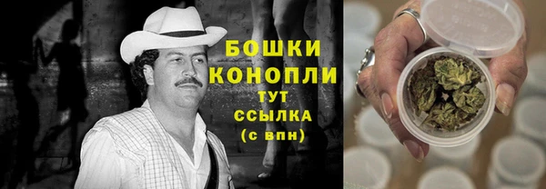молекула духа Протвино