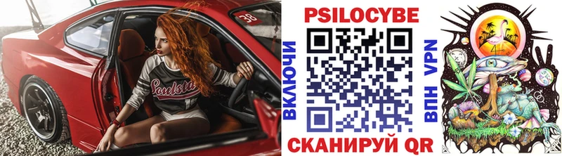 Псилоцибиновые грибы GOLDEN TEACHER  Нелидово 